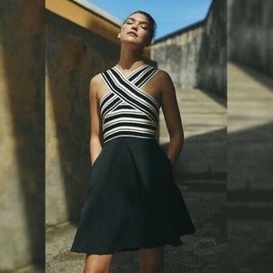 Anthropologie Maeve B/W Bandage Dress Size 8